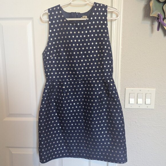 J. Crew Dresses & Skirts - J. Crew Navy and Silver Polka Dot Sheath | 12 | EUC | Silk Cotton Blend!